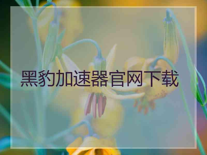 黑豹加速器官网下载
