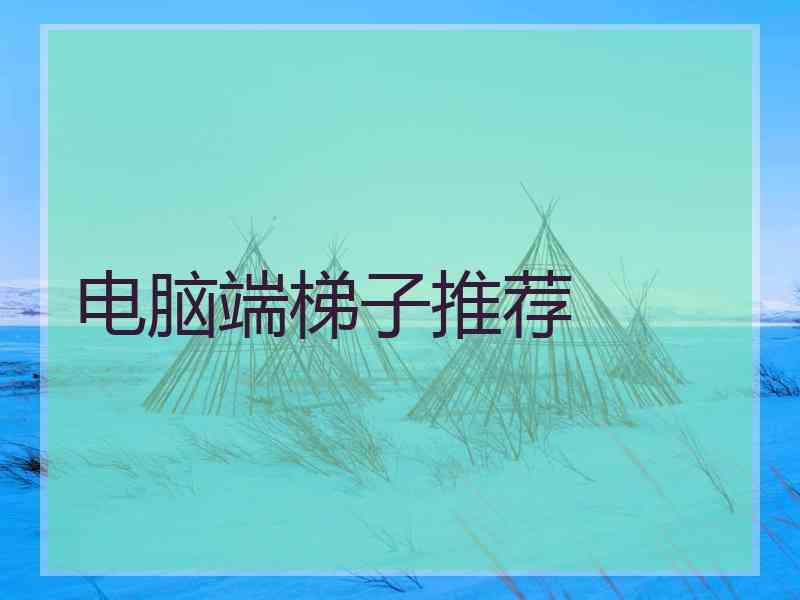 电脑端梯子推荐