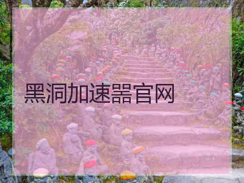 黑洞加速噐官网
