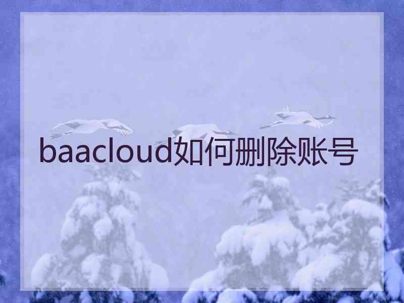 baacloud如何删除账号