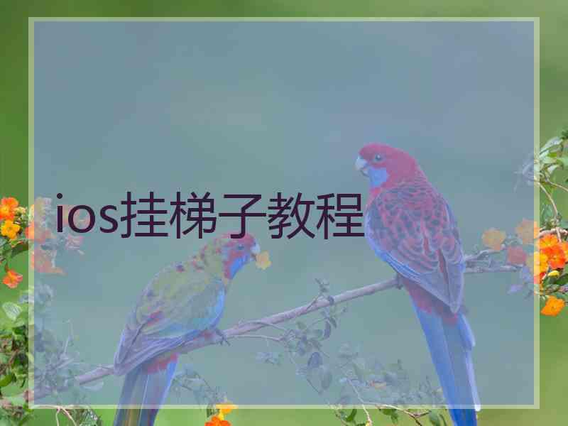 ios挂梯子教程