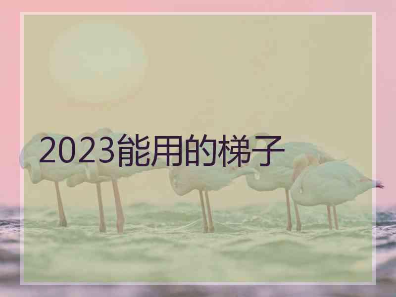 2023能用的梯子