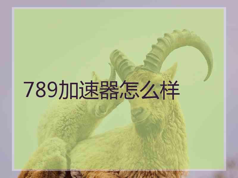 789加速器怎么样
