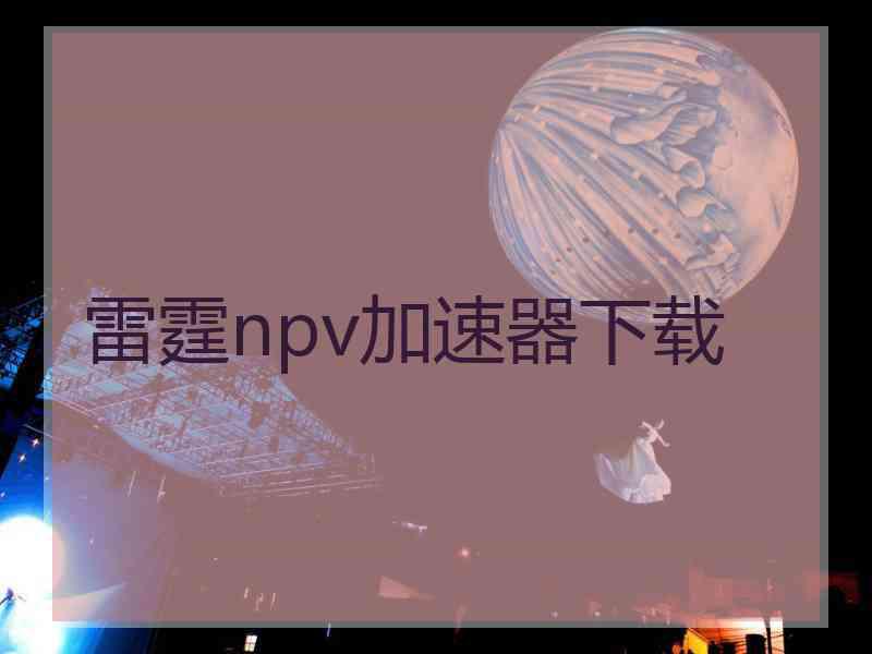 雷霆npv加速器下载