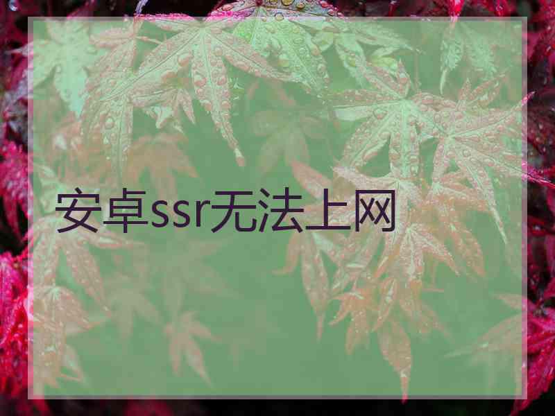 安卓ssr无法上网